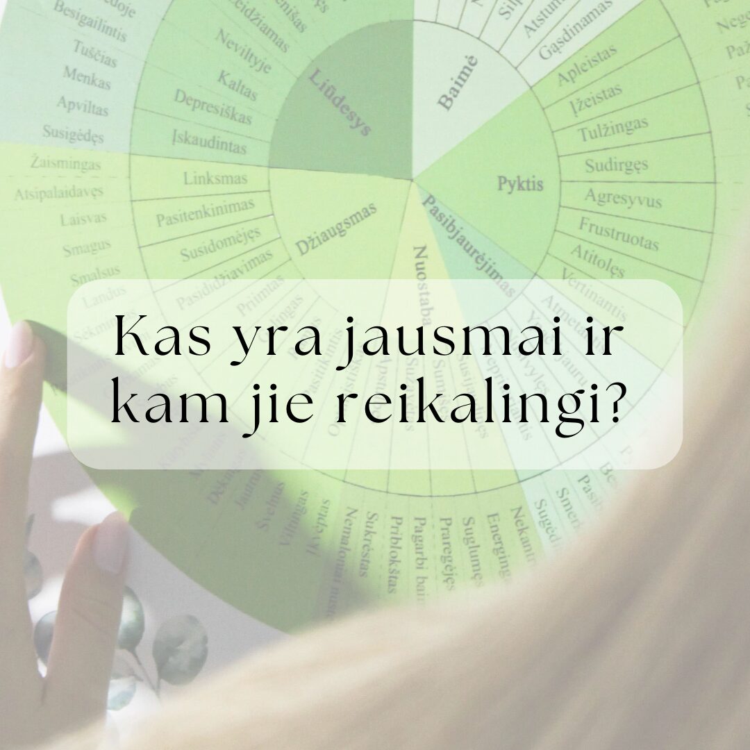 Kas yra jausmai ir kam jausmai reikalingi?